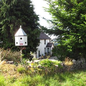 Celyn Villa Bed And Breakfast Holywell  Exterior photo