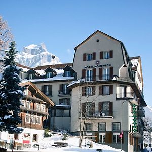 Hotel Hoheneck- Self Check-In Engelberg Exterior photo