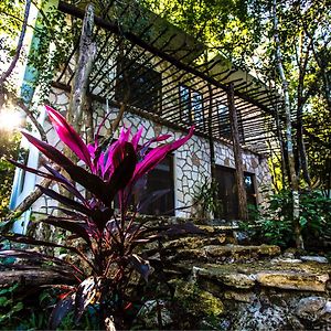 Escarabajo Rojo Bed and Breakfast Tulum Exterior photo