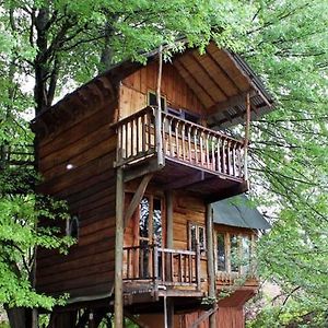 Sycamore Avenue Treehouses & Cottages Accommodation Windy Exterior photo