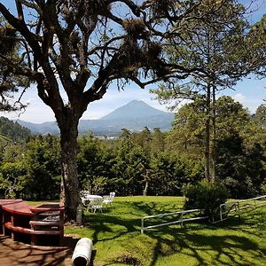 Bosque Macadamia Bed and Breakfast El Tejar Exterior photo