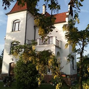 Villa Liduska S Kavarnou Bechyně Exterior photo