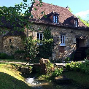 Le Moulin De La Beune Hotel Les Eyzies Exterior photo