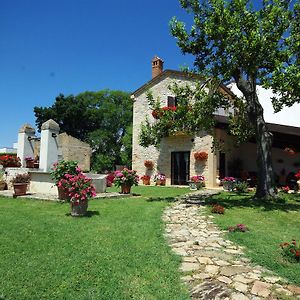 La Tenuta Bed and Breakfast Mozzagrogna Exterior photo