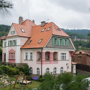 Penzion Signum Laudis Hotel Velké Hamry Exterior photo