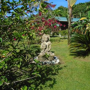 J And H Garden Cabinas Lejlighed Bocas del Toro Exterior photo