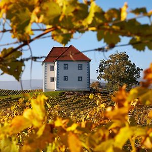 Wine Grower'S Mansion Zlati Gric Lejlighed Slovenske Konjice Exterior photo