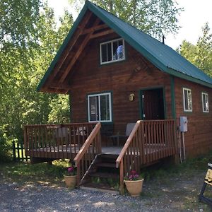 Chinook Wind Cabins Talkeetna Exterior photo