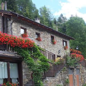 Agriturismo Al Castagneto Villa Mazzo di Valtellina Exterior photo