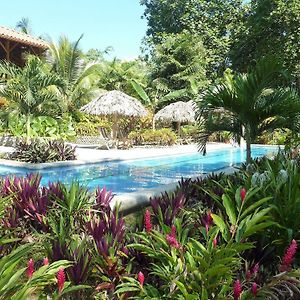 Bluff Beach Retreat Bed and Breakfast Bocas del Toro Exterior photo