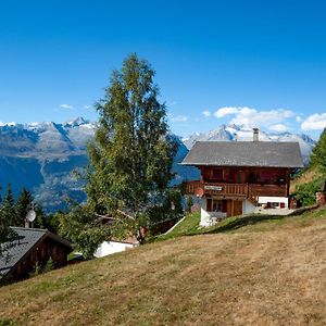 Chalet Saflischmannli Auf Der Alpe Rosswald Lejlighed Exterior photo