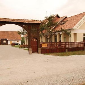 Borsika Panzio Bed and Breakfast Ciumani Exterior photo