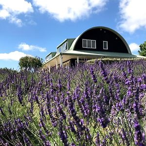 Lavender Hill Bed and Breakfast Riverhead Exterior photo