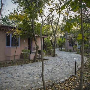 Ashokas Tiger Trail Resort Rāmnagar Exterior photo