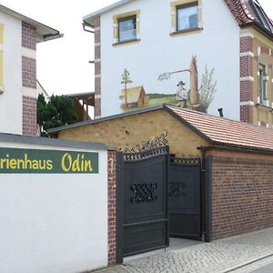 Ferienhaus Odin Villa Grossraeschen Exterior photo