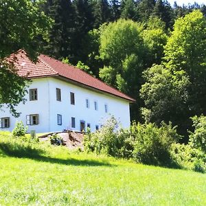 Ferienhaus Herrnbauer Lejlighed Zaglau Exterior photo