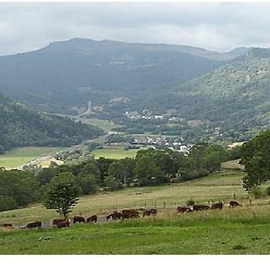 Vacances Au Pied Des Monts Du Cantal Lejlighed Laveissière Exterior photo