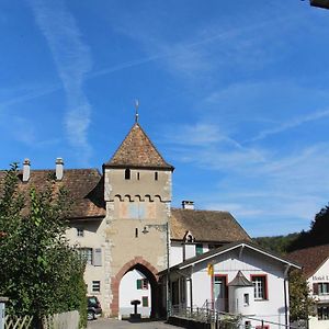 Wandern Und Wohnen Bei Gabriela Lejlighed Waldenburg Exterior photo