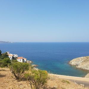 Seaview Lejlighed Banyuls-sur-Mer Exterior photo