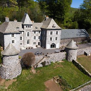 Château du Puech Bed and Breakfast Curieres Exterior photo