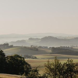 Ferienwohnung Im Muehlviertler Panorama Vierseithof Lembach im Mühlkreis Exterior photo