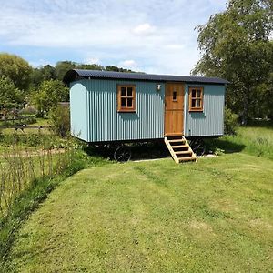 Gaggle Of Geese Pub - Shepherd Huts & Bell Tents Pensionat Dorchester Exterior photo