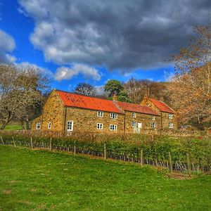 Park House Bed and Breakfast Ingleby Arncliffe Exterior photo