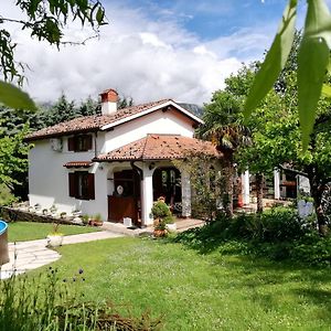 Apartment Slavi Vipava Exterior photo