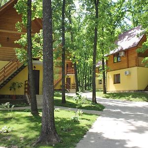 Вілія Hotel Lomacineţi Exterior photo