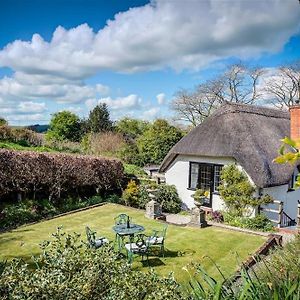 Foley'S Cottage Warminster Exterior photo